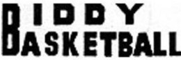 BIDDY BASKETBALL logo