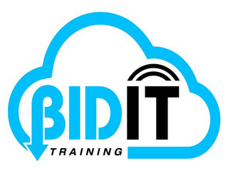 BIDIT TRAINING logo