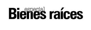 BIENES RAÍCES ESPECIAL logo