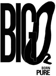 BIG 02 BORN PURE logo