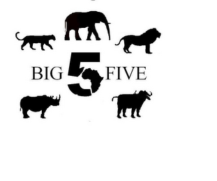 BIG 5 FIVE logo