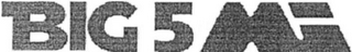 BIG 5 MI logo