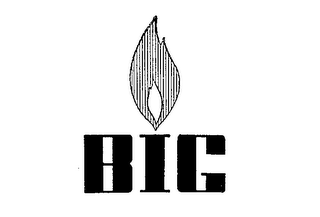 BIG logo