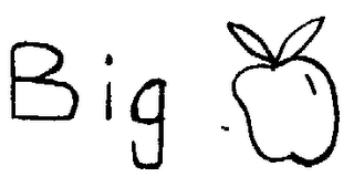 BIG logo