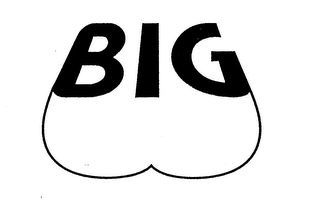 BIG logo