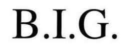 B.I.G. logo