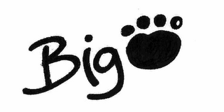 BIG logo