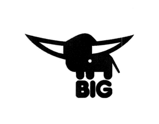 BIG logo