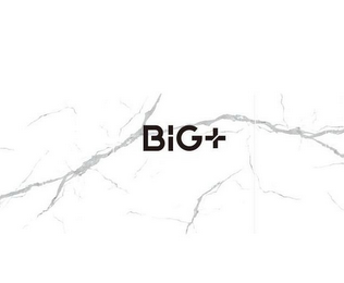 BIG+ logo
