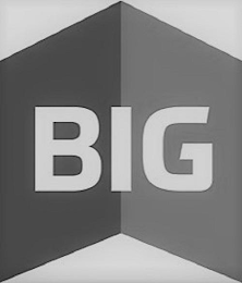 BIG logo