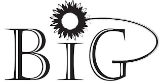 BIG logo