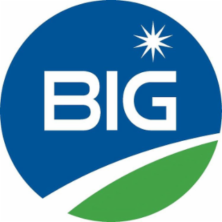 BIG logo
