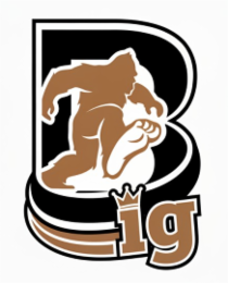 BIG logo