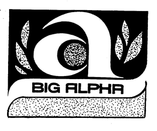 BIG ALPHA A logo