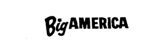 BIG AMERICA logo