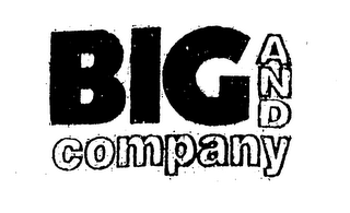 BIG AND COMPANY logo