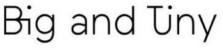 BIG AND TINY logo