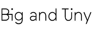 BIG AND TINY logo