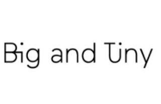 BIG AND TINY logo