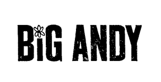 BIG ANDY logo