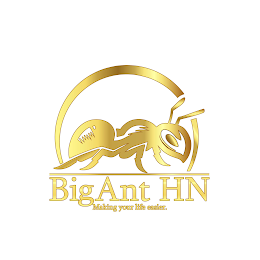 BIG ANT HN MAKING YOUR LIFE EASIER logo