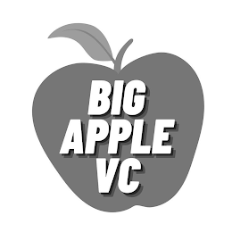 BIG APPLE VC logo