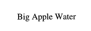 BIG APPLE WATER logo