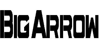 BIG ARROW logo