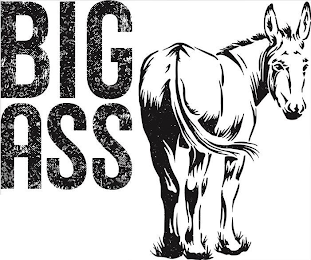 BIG ASS logo