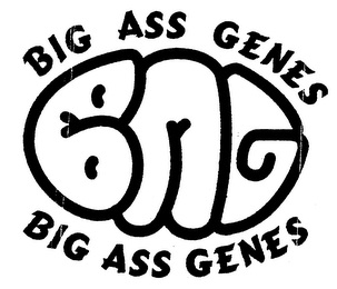 BIG ASS GENES BAG logo