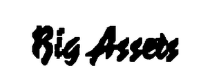BIG ASSETS logo