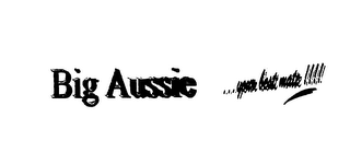 BIG AUSSIE...YOUR BEST MATE!!! logo