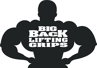 BIG BACK LIFTING GRIPS logo