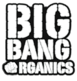 BIG BANG ORGANICS logo