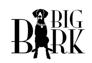 BIG BARK logo