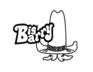 BIG BARRY logo