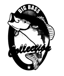 BIG BASS COLLECTION logo