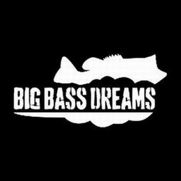 BIG BASS DREAMS logo