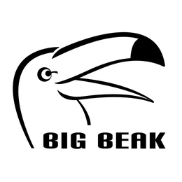 BIG BEAK logo