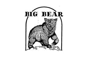 BIG BEAR logo
