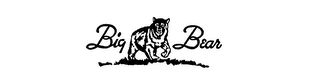 BIG BEAR logo