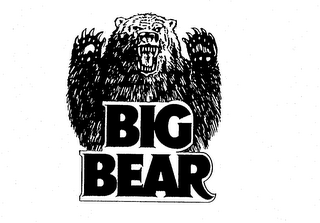 BIG BEAR logo