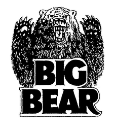 BIG BEAR logo