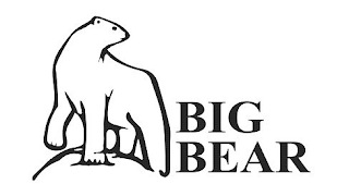 BIG BEAR logo