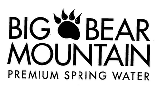 BIG BEAR MOUNTAIN PREMIUM SPRING WATER logo