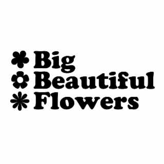 BIG BEAUTIFUL FLOWERS logo