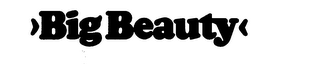BIG BEAUTY logo