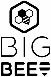 BIG BEE logo