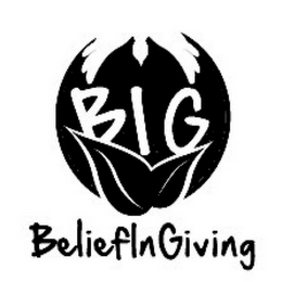 BIG BELIEF IN GIVING logo