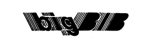 BIG BIB logo